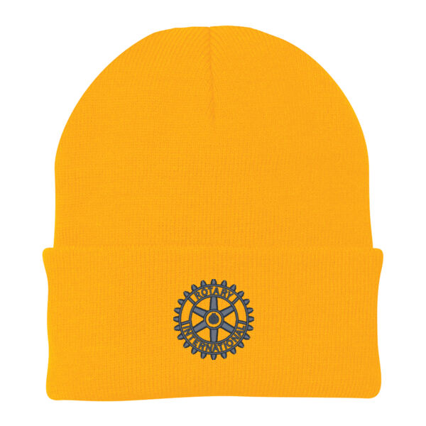Embroidered Rotary Wheel - Knit Cap Thumbnail